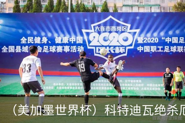 （美加墨世界杯）科特迪瓦绝杀厄瓜多尔 瑞典5:1大胜突尼斯